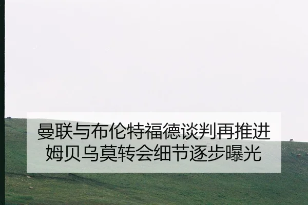 曼联与布伦特福德谈判再推进 姆贝乌莫转会细节逐步曝光